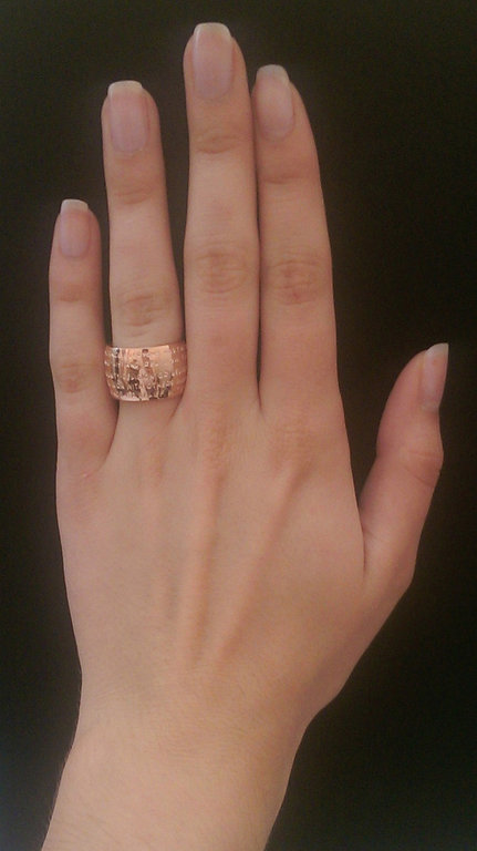 GILARDY HUMAN RIGHTS Ring R1 curved stainless steel rosé/champagne